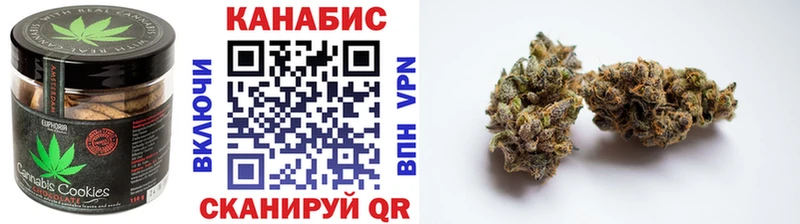 omg маркетплейс Тара Canna-Cookies марихуана