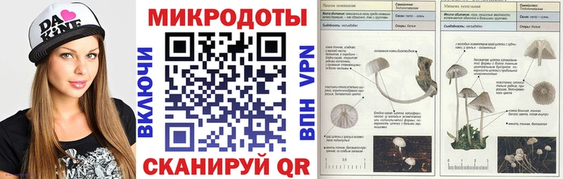 Галлюциногенные грибы мицелий  Тара 
