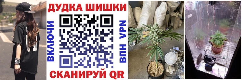 блэк спрут как зайти  Тара  Шишки марихуана планчик 